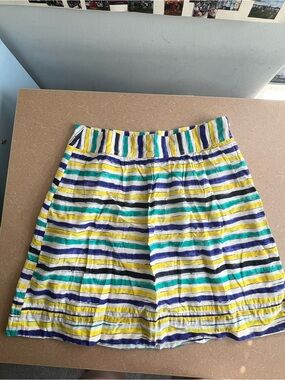 Striped Multicolor A-Line LOFT Women's Skirt